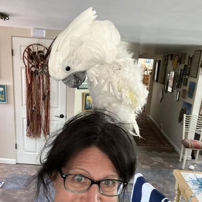 Community member profile picture