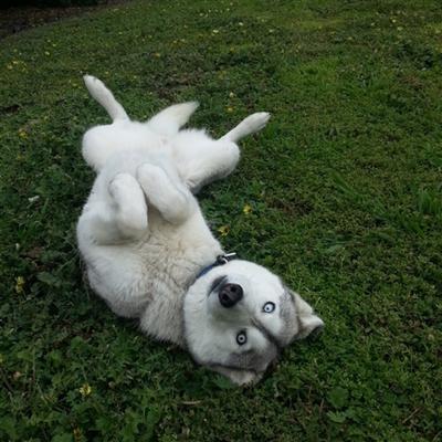 Community member profile picture 7