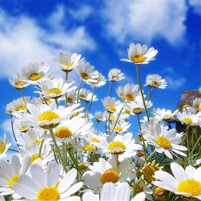 Community member profile picture 8