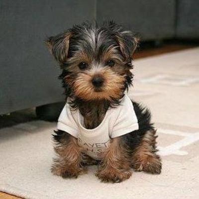 Community member profile picture 1