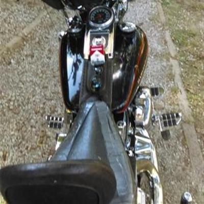 Community member avatar