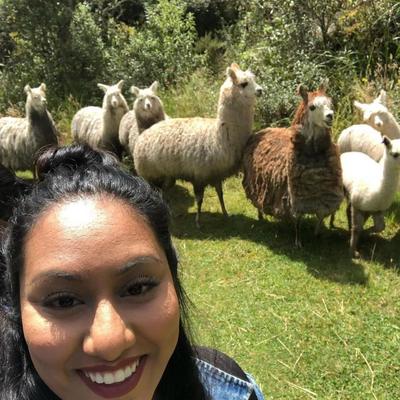 Community member profile picture 2