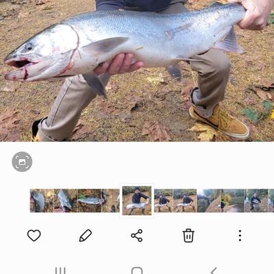 Community member profile picture 5