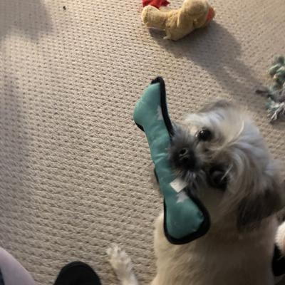 Community member profile picture 8