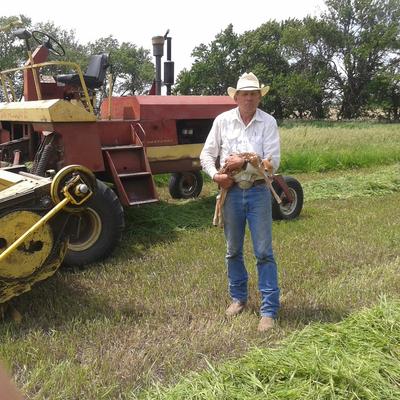 Community member profile picture