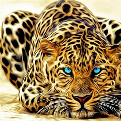 Community member profile picture 7