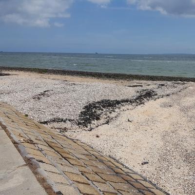 Community member profile picture 10