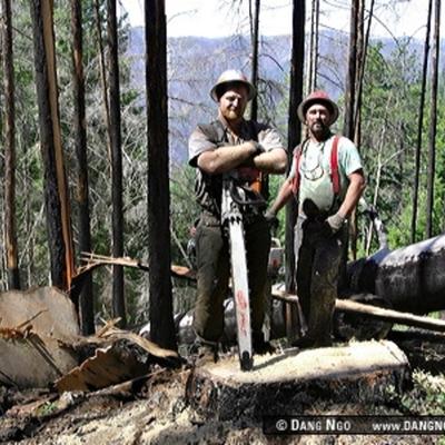 Community member avatar