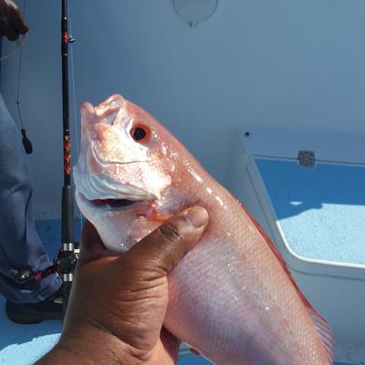 Community member avatar