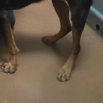 Community member profile picture 5