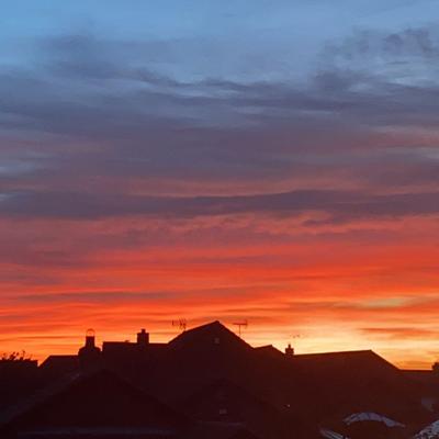 Community member profile picture 3