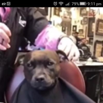 Community member profile picture 2