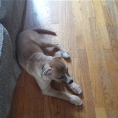 Community member profile picture 7