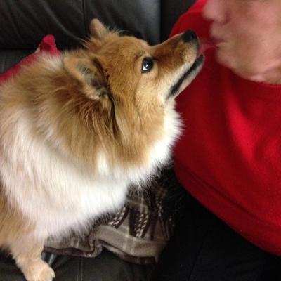 Community member profile picture