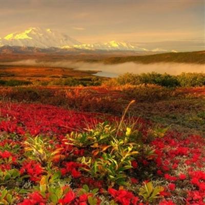 Community member profile picture 9