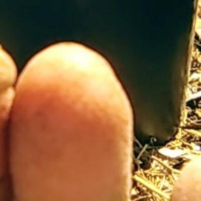 Community member avatar