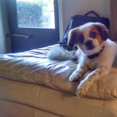 Community member profile picture 1