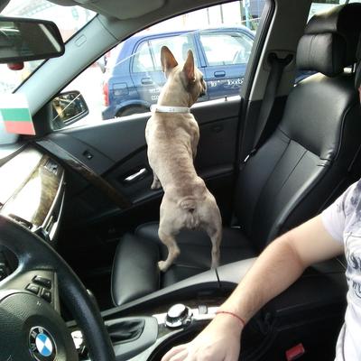 Community member profile picture