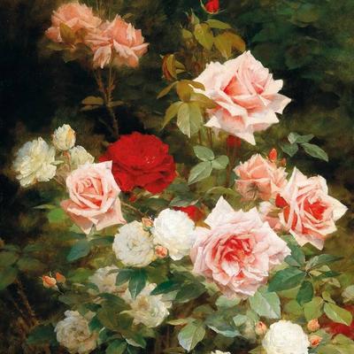 Community member profile picture 8