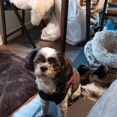 Community member profile picture 7