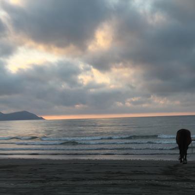 Community member profile picture 8