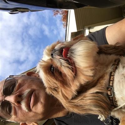 Community member avatar