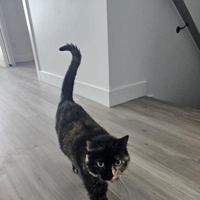 Community member profile picture 9