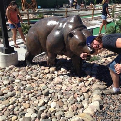 Community member profile picture