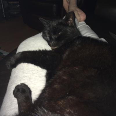 Community member profile picture 6