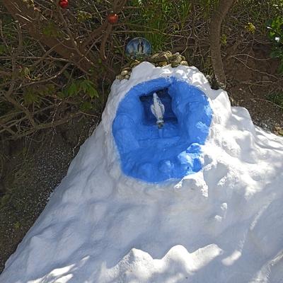 Community member profile picture 8