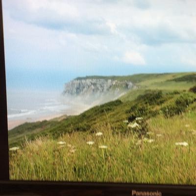 Community member profile picture 4