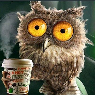 Community member avatar