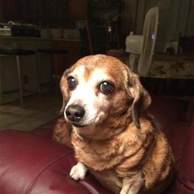 Community member profile picture 1