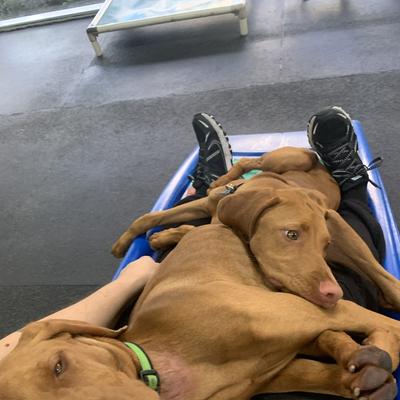 Community member profile picture