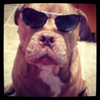 Community member profile picture 7