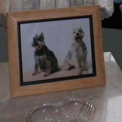 Community member profile picture 10