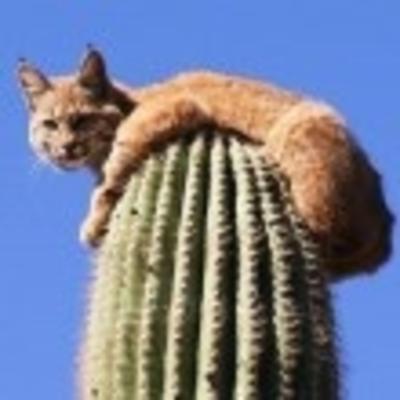 Community member profile picture 7