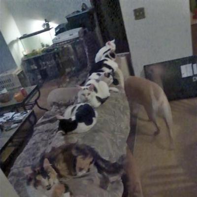 Community member profile picture 5