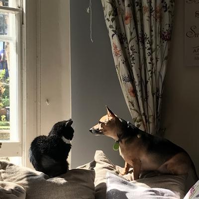 Community member profile picture 1