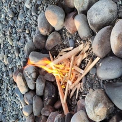 Community member profile picture 4