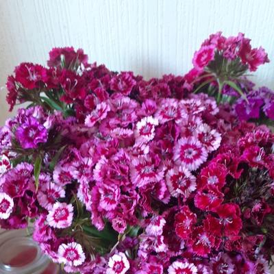 Community member profile picture 3