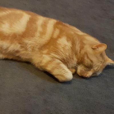 Community member profile picture