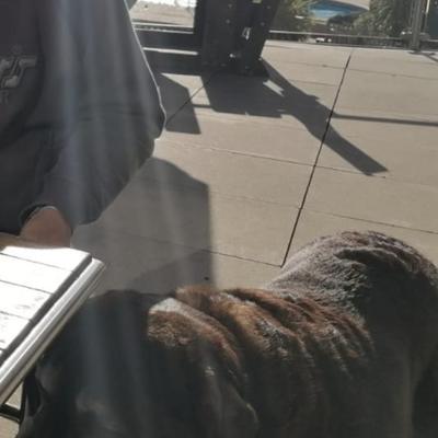 Community member profile picture 9