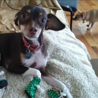 Community member profile picture