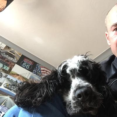 Community member avatar