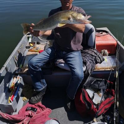 Community member avatar