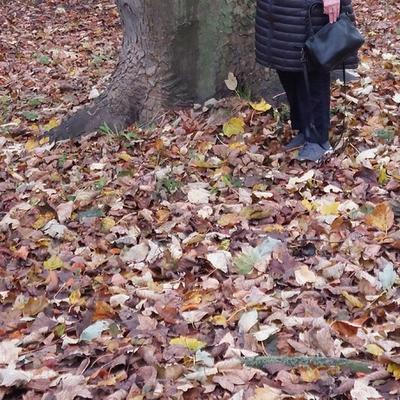 Community member profile picture 10